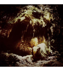 Wolves In The Throne Room - Celestial Lineage CD