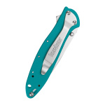 Taschenmesser Kershaw Leek, Petrol